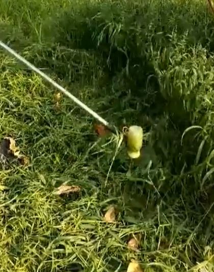 DG28 ใบตัดหญ้า รูเพลา 16 มิล สำหรับ หินเจียร 4 นิ้ว หรือต่อ มอเตอRS775 DIY ทำเครื่องตัดหญ้า