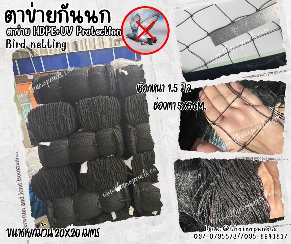 Bird netting ตาข่ายกันนก เชือกหนา 1.5 มิล ช่องตา 5x5 cm.ยกม้วน 20x20 เมตร ตาข่ายเคลือบสารป้องกัน UV ทนแดด ทนฝน ใช้งานกลางแจ้ง มากกว่า 8-10 ปี