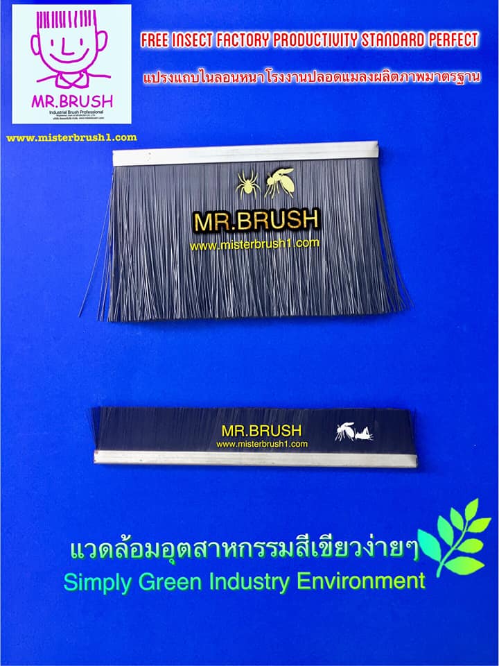 แปรงแถบ