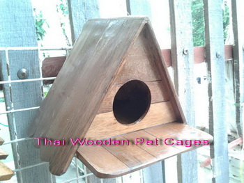บ้านนก กระรอกหลังเล็ก