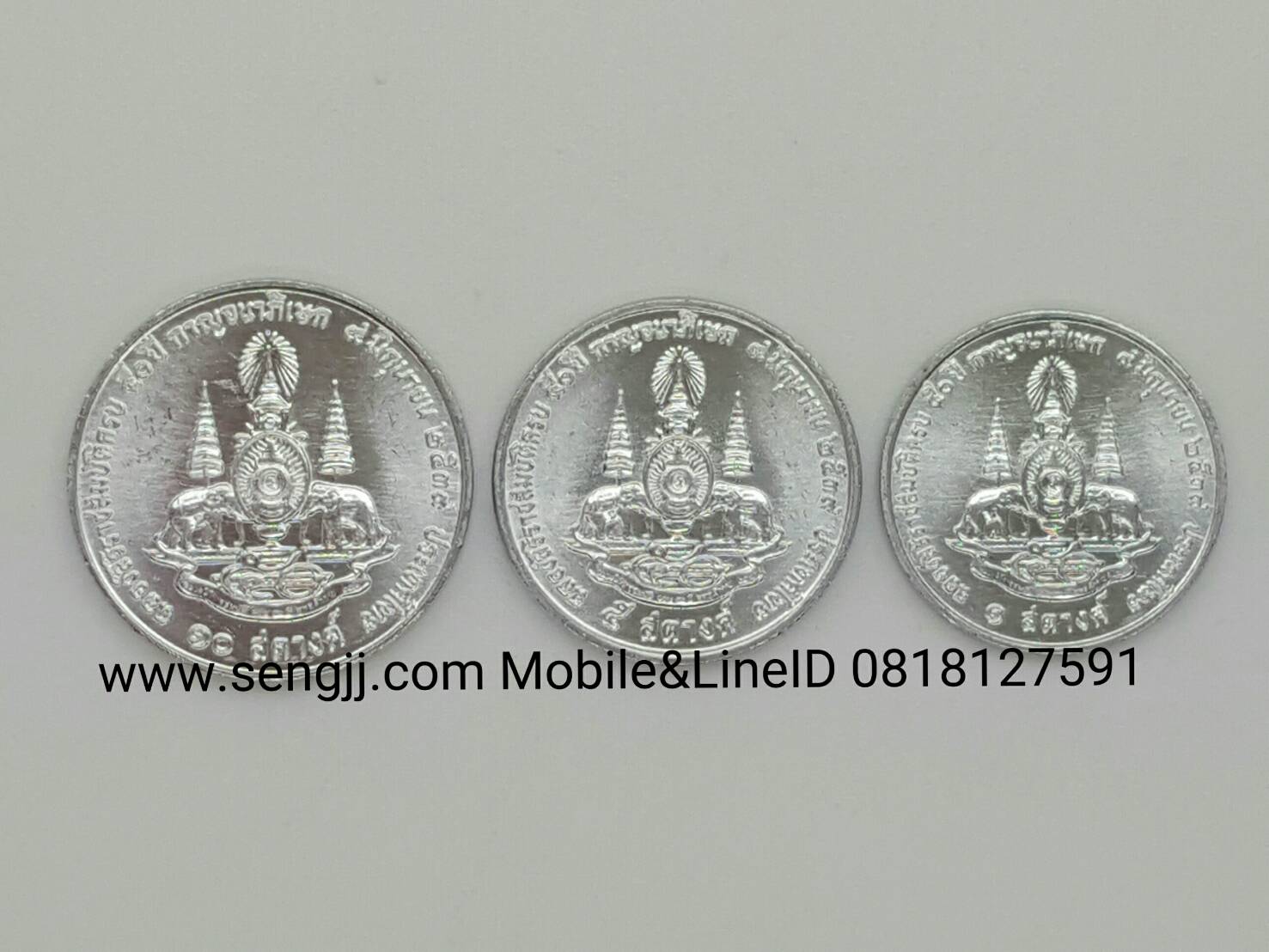 เหรียญกษาปณ์อลูมิเนีบม 50 ปี ครองราชย์ กาญจนาภิเษก พ.ศ.2539 10,5,1 สตางค์ครบชุด