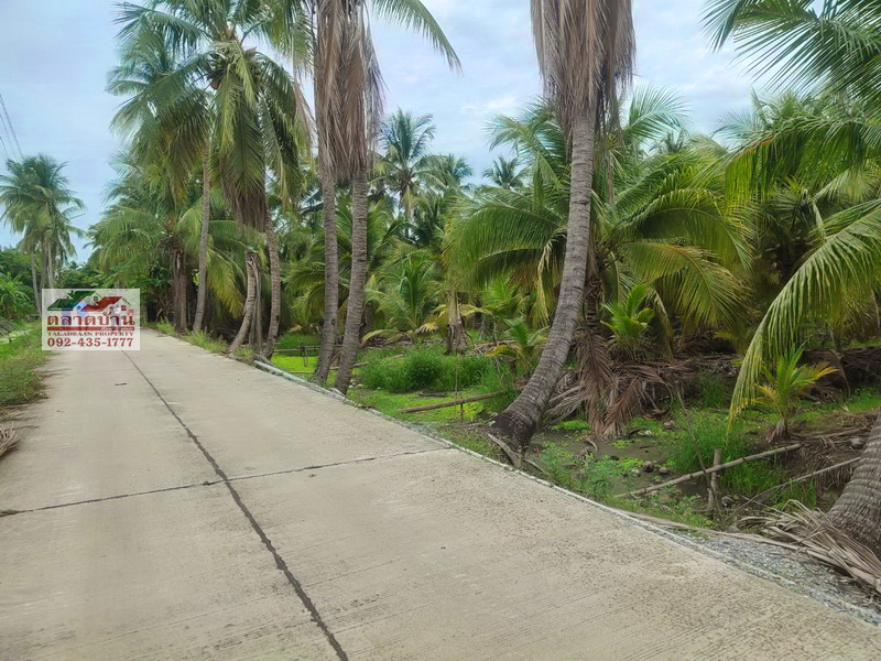 ที่ดิน 3 ไร่ 33 ตร.ว. พุทธมณฑลสาย 8 เข้าจากบรมราชชนนีเพียง 600 เมตร ซ.ตะวันแดง ต.ขุนแก้ว นครชัยศรี นครปฐม