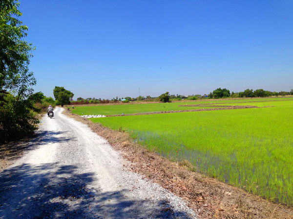 ที่ดิน 24-2-73 ไร่ ต.สระสี่มุม ถ.ทางหลวง 3232 กำแพงแสน นครปฐม ที่ดินแปลงสวย