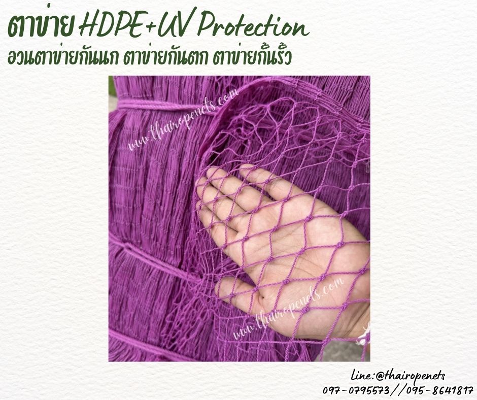 ตาข่ายอวน สีม่วง เชือกหนา 1.5 มิลช่องตา 1x1 นิ้ว ตาข่าย HDPE เคลือบสารป้องกัน UV ขนาดยกม้วน 10x25 เมตร