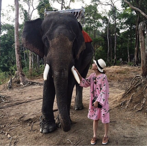 เดรสSoda ลายดอกกุหลาบสีชมพู แบบที่ดาราใส่กันเยอะมากๆๆๆ