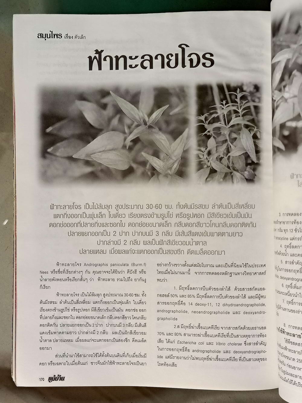 หนังสือมือสอง 055 นิตยสารแม่บ้าน ปีที่ 26 ฉบับที่ 388 ประจำเดือนกันยายน 2544 ความหนา 202 หน้า