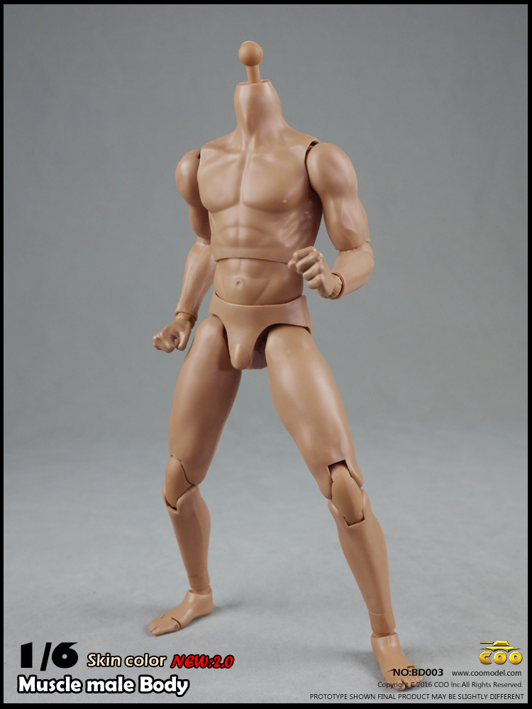 COOMODEL BD003, BD004 Muscle male Body 2.0