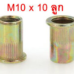 OT91 ลูกรีเวทนัทเหล็กกัลวาไนท์ M10 ชุด 10 ตัว