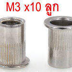 OT91 ลูกรีเวทนัทเสแตนเลส 304 M3 ชุด 10 ตัว