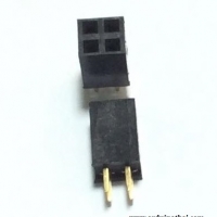 Female socket 2.54MM pitch double row (2x2P)