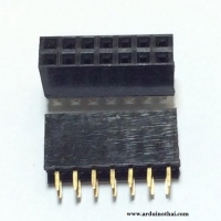 Female socket 2.54MM pitch double row (2x7P)