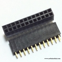 Female socket 2.54MM pitch double row (2x12P)