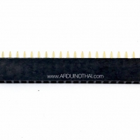 Female socket 2.54MM pitch single row (1x20)