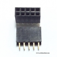 Female socket 2.54MM pitch double row (2x5P)