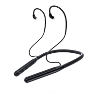 FiiO LC-BT2 ขั้ว 2 พิน 0.78