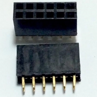 Female socket 2.54MM pitch double row (2x6P)