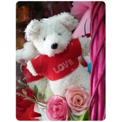 ช่อดอกไม้ ตุ๊กตา