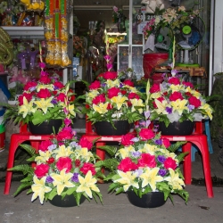 ดอกไม้หน้าศพ ดอกไม้แห้ง