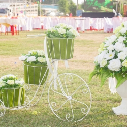 ซุ้มถ่ายรูป ธีมงาน เขียวขาว