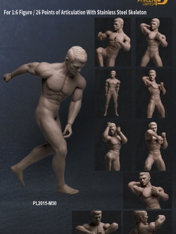 PHICEN PL2015-M30 Male Body
