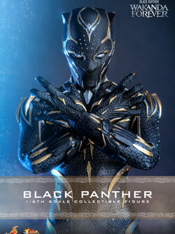 Hot Toys MMS675 1/6 Black Panther: Wakanda Forever - Black Panther