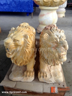 สิงโตคุ่สีส้ม ยาว50สูง30