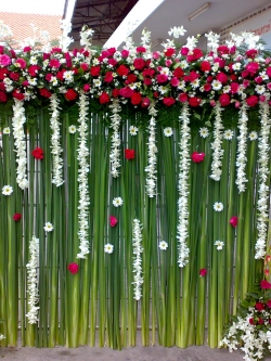 ซุ้มถ่ายรูป ธีมงาน ชมพู