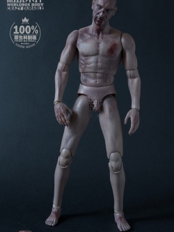 World Box AT019 1/6 Durable body