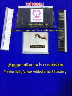 แปรงแถบ