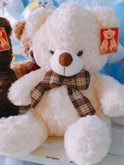 ช่อดอกไม้ ตุ๊กตาหมี