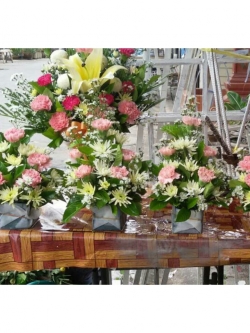 ดอกหน้าตั้งหน้าพระพุทธ