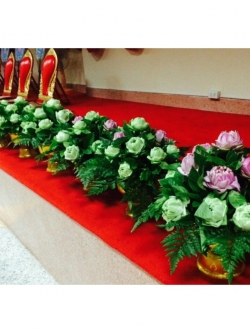 ดอกหน้าตั้งหน้าพระพุทธ