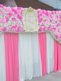 ซุ้มถ่ายภาพงานแต่ง ดอกไม้แห้ง ธีมชมพูขาว