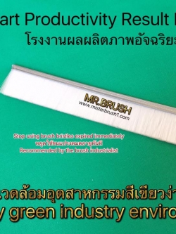 แปรงแถบบางบาง