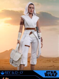 Hot Toys MMS559 Star Wars: The Rise of Skywalker 1/6 Rey and D-O