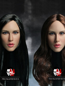 MR.TOYS MT2018-01 1/6 Megan Fox