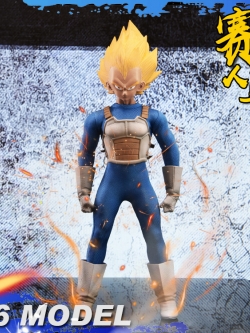 TYS Cosplay TA series 1/6 Saiyan Warrior Ta