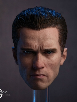 GACTOYS GC016 American male headsculpt