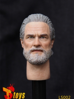 T-toys LS002 1/6 Male headsculpt