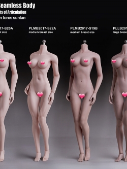 TBLeague 1/6 New Super Flexible Seamless Female Body Series with Stainless Steel Skeleton