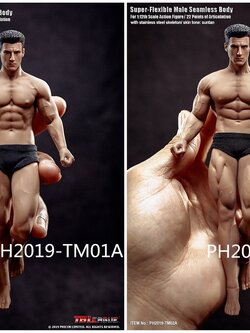 TBLeague PH2019-TM01A PH2019-TM02A 1/12 Super Flexible Male Seamless Body
