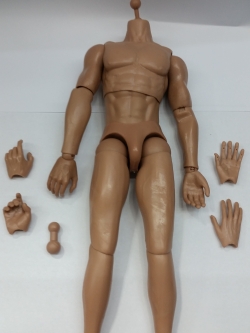 1/6 Muscular Male body no.8