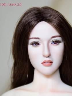 WONDERY WLS001 Luna V.2