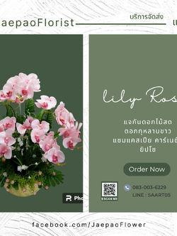 แจกันดอกกล้วยไม้ฟาแลน สีชมพู