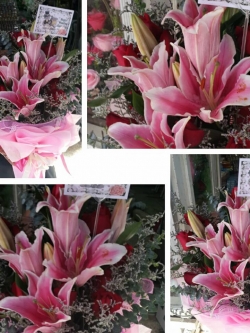 ช่อดอกไม้แสดงความยินดี