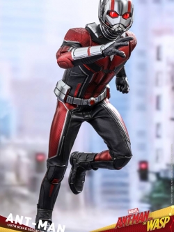 Hot Toys MMS497 ANT-MAN AND THE WASP - ANT-MAN