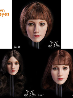 YMTOYS 1/6 Lin-B, Lin-D, Lin-E Lin Headsculpt