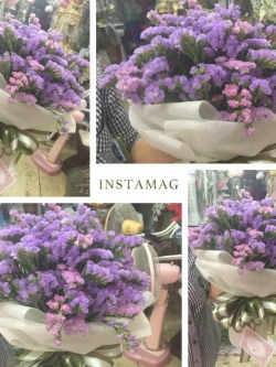 ช่อดอกไม้แสดงความยินดี ดอกสแตติส