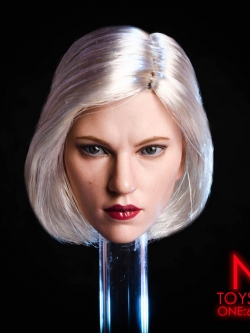 NRTOYS 1/6 Silver Hair Warrior Natasha Widow 6.0 Suntan