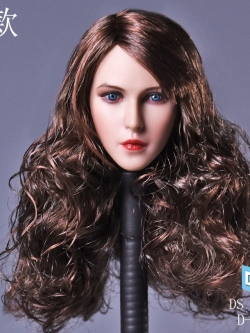 DSTOYS D009A,B Female head